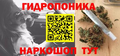 гашик Гудермес