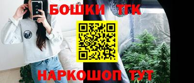 гашик Гудермес