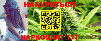 гашик Гудермес