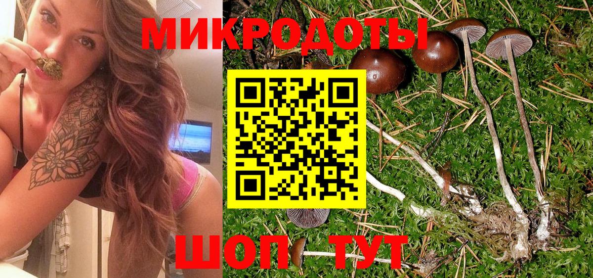 Галлюциногенные грибы мицелий Грязи