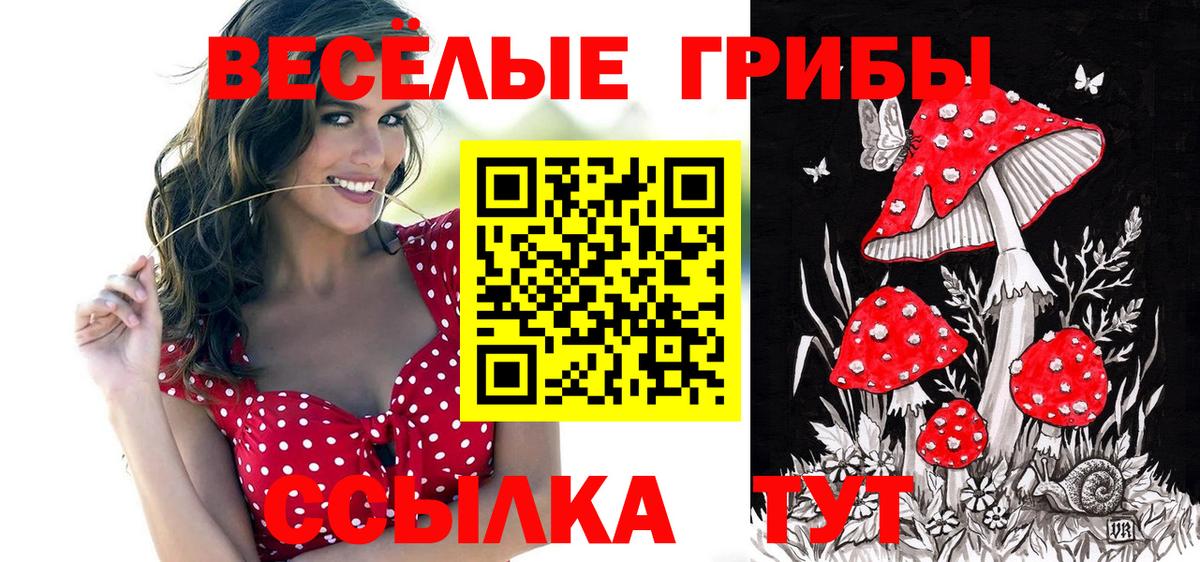 Грязи  Галлюциногенные грибы Magic Shrooms  Галлюциногенные грибы Psilocybine cubensis  продажа наркотиков  Вход с VPN 